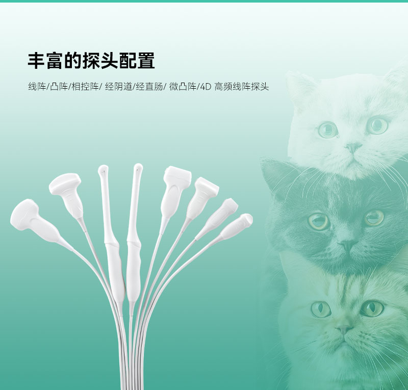 Revo-T2-VET大推车详情页2_08